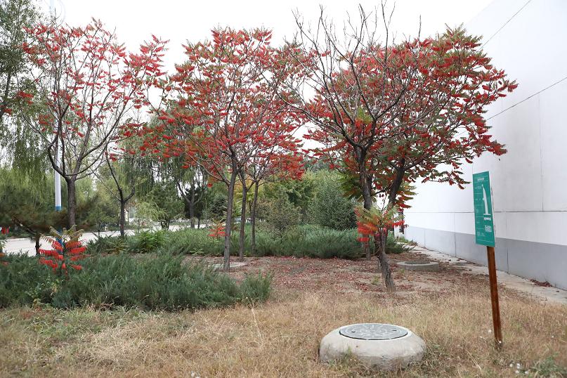 k8凯发(中国)天生赢家·一触即发