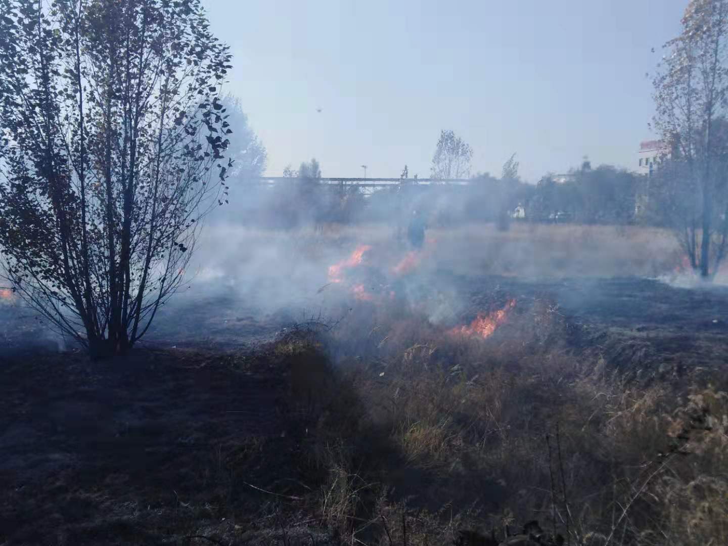 k8凯发(中国)天生赢家·一触即发